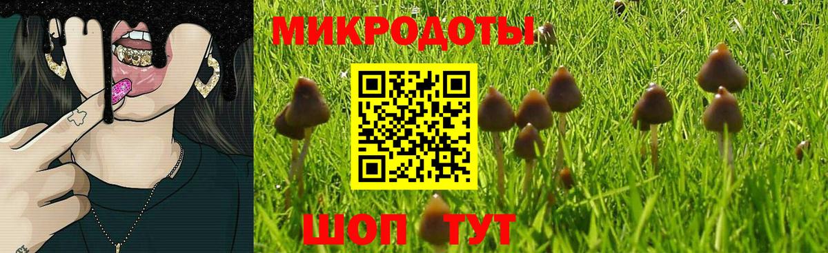 Псилоцибиновые грибы прущие грибы  Вход с VPN  закладки  Коряжма 